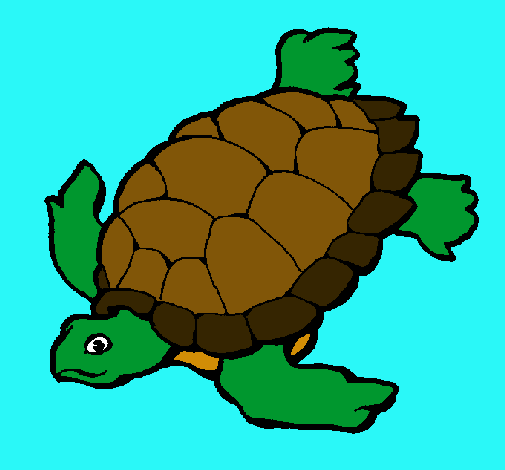 Tortuga