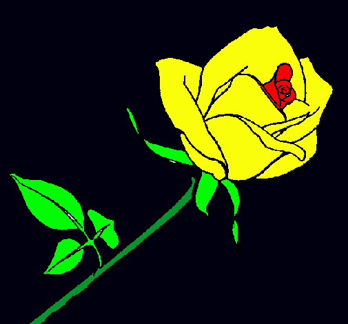 Rosa