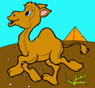Dibujo Camello pintado por claudia