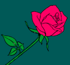 Dibujo Rosa pintado por melina