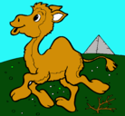 Dibujo Camello pintado por julia