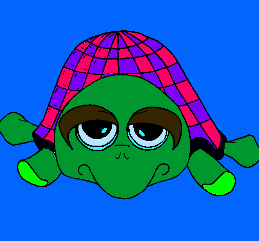 Tortuga