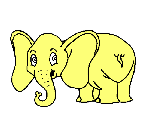 Elefante pequeño