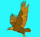Dibujo Águila volando pintado por danieladiazsoto