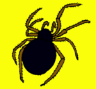 Dibujo Araña venenosa pintado por araa