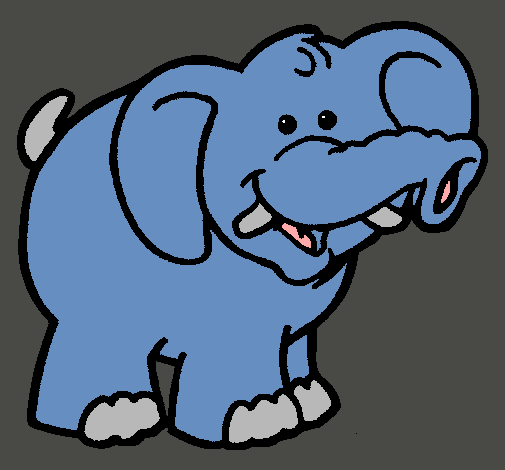 Elefante