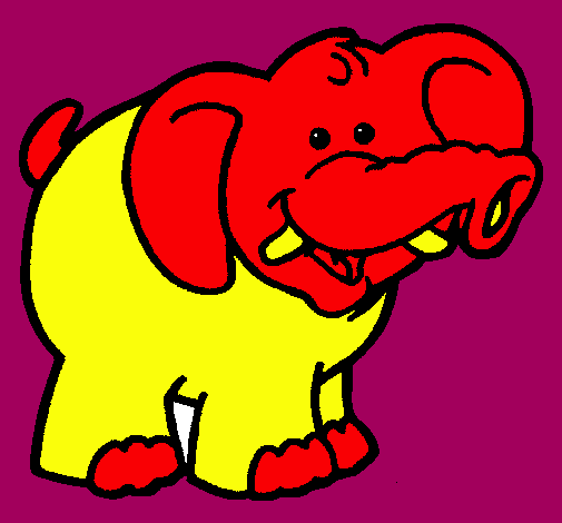 Elefante