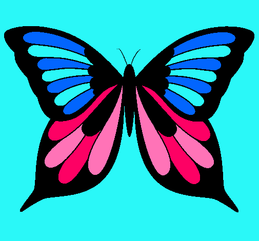 Mariposa