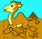 Dibujo Camello pintado por jimena