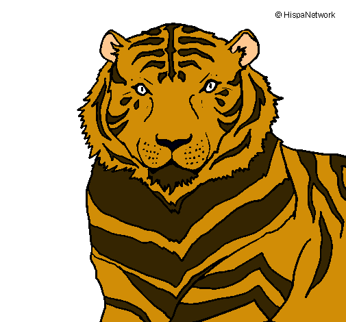 Tigre