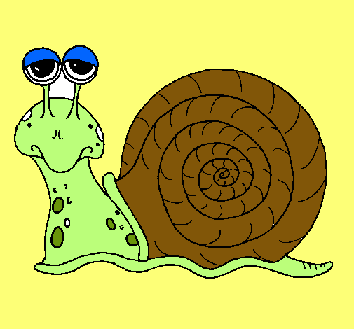 Caracol