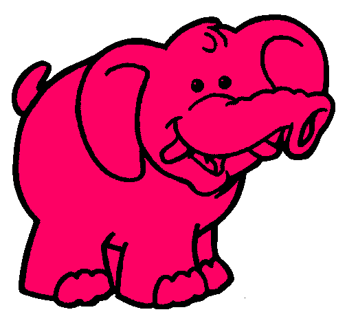 Elefante