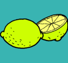 Dibujo limón pintado por JJRF