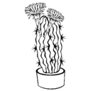Dibujo Cactus con flores pintado por inma