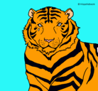 Dibujo Tigre pintado por martinamanzetti