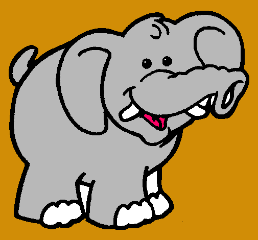 Elefante