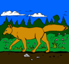 Dibujo Coyote pintado por josemariagarcia
