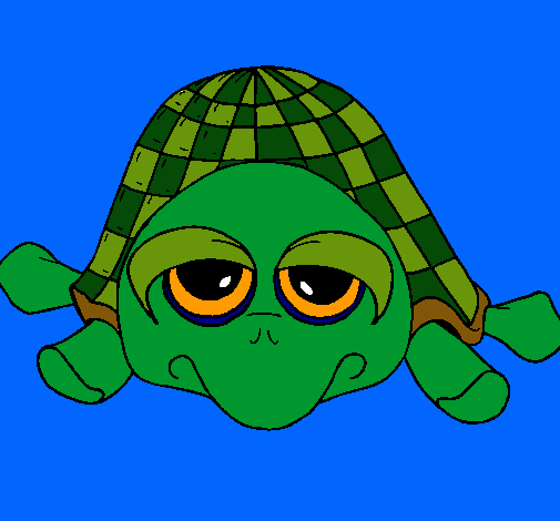 Tortuga