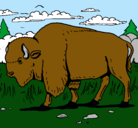 Dibujo Búfalo  pintado por bufalo