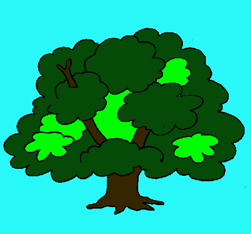 Árbol