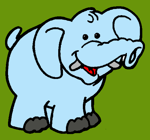 Elefante