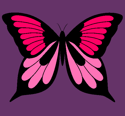 Mariposa