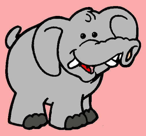 Elefante