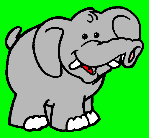 Elefante