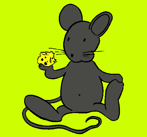 Rata con queso