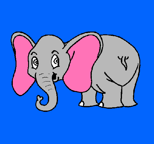 Elefante pequeño