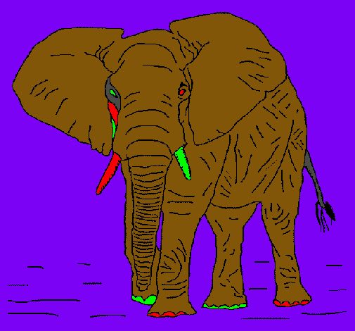 Elefante