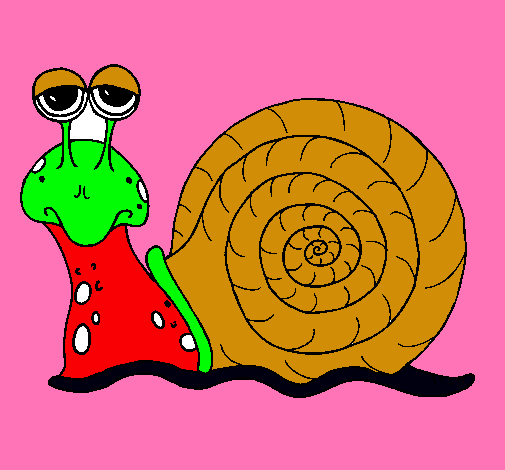 Caracol