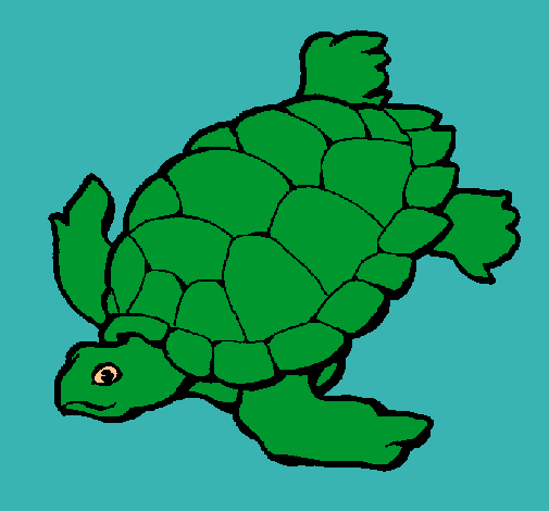 Tortuga