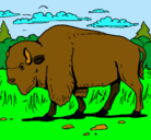 Dibujo Búfalo  pintado por oriol