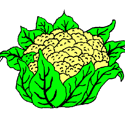 coliflor