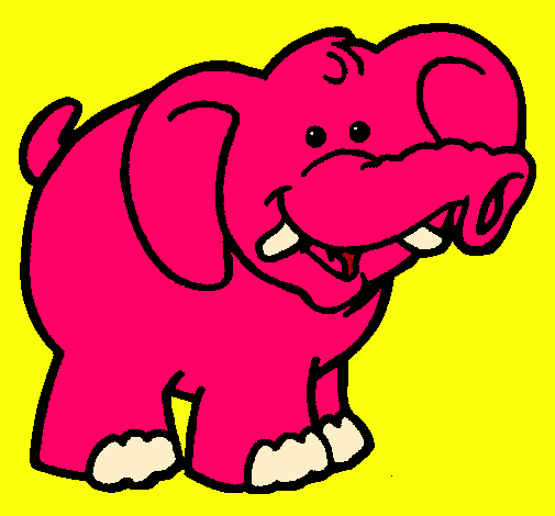 Elefante