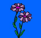 Dibujo Margaritas pintado por flor