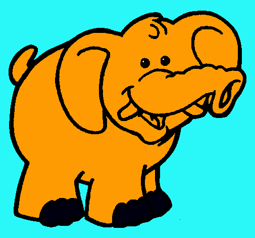 Elefante