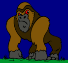 Dibujo Gorila pintado por mgll