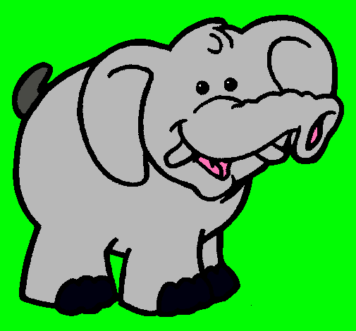 Elefante