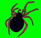 Dibujo Araña venenosa pintado por sebas