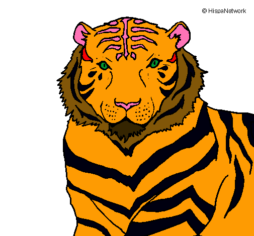 Tigre