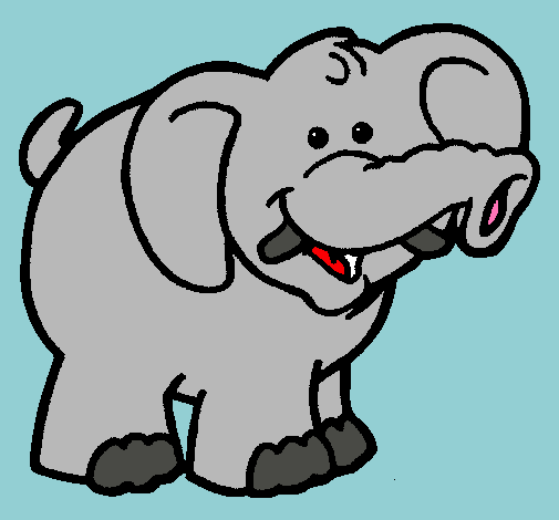 Elefante