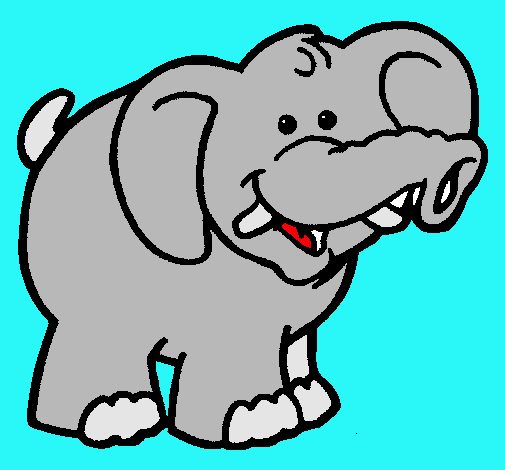 Elefante