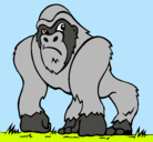 Dibujo Gorila pintado por mario