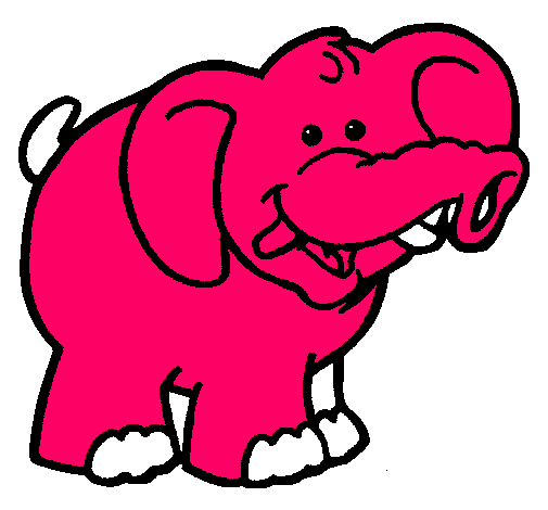 Elefante