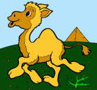 Dibujo Camello pintado por georgina