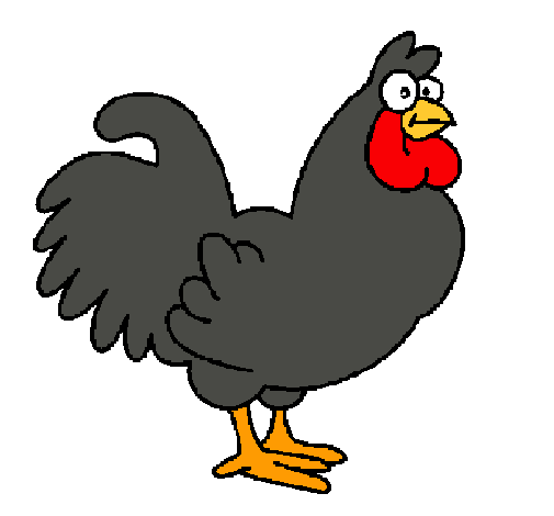 Gallo