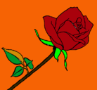 Dibujo Rosa pintado por diegocario