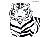 Dibujo Tigre pintado por mgll